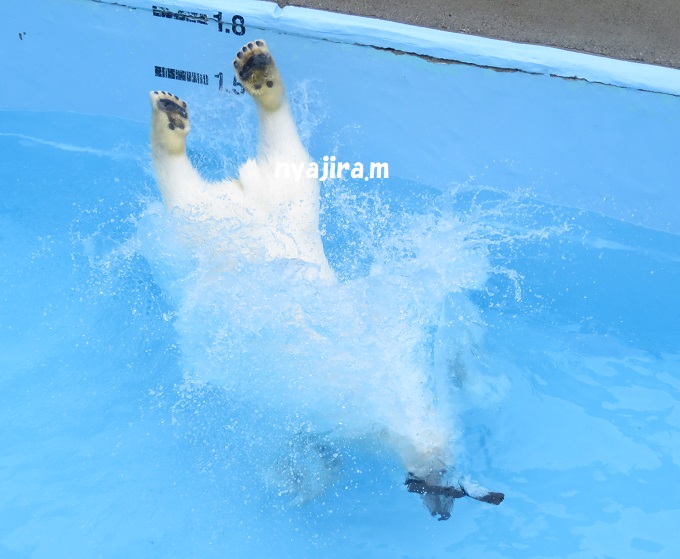 f0002743_21531494.jpg