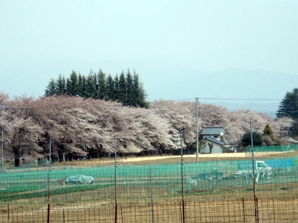 e0043548_14191140.jpg