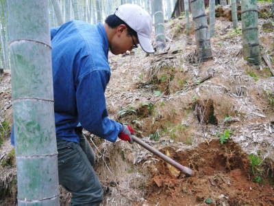 幻の白い「長生たけのこ」 平成30年度、本日初出荷!収穫の様子を現地取材!!(後編:収穫における匠の技)_a0254656_13060288.jpg