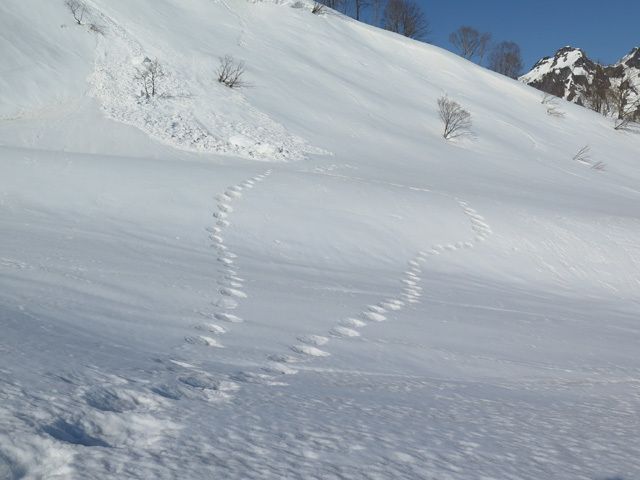 c0116856_13104047.jpg