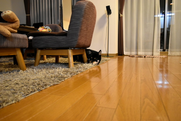 f0363156_17160132.jpg