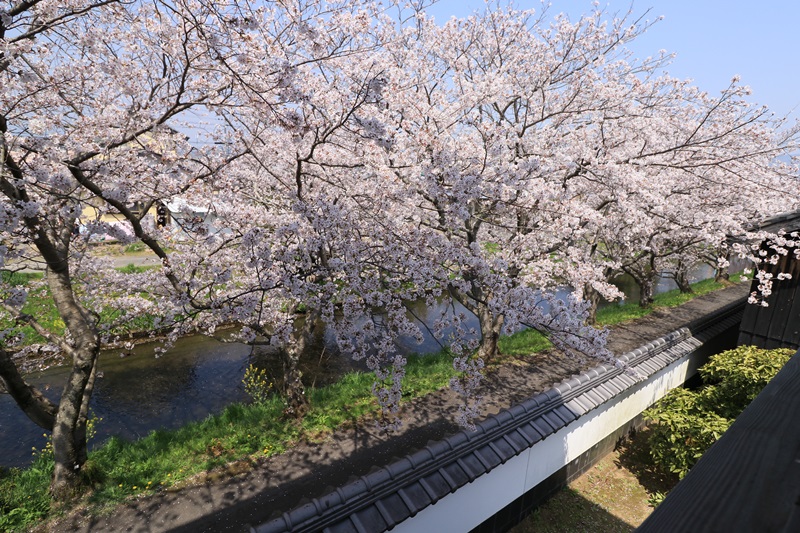 a0167759_256239.jpg