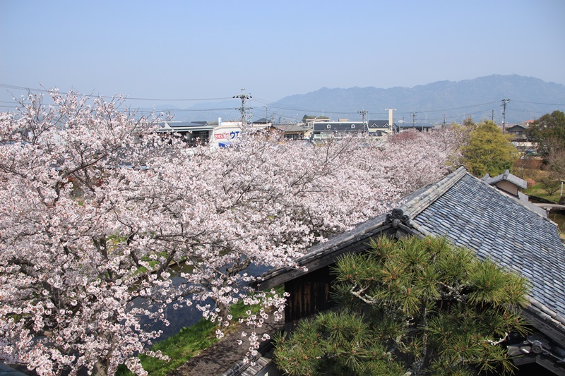 a0167759_351725.jpg