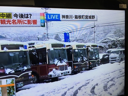 春なのに大雪　（3月21日）_b0145863_23550571.jpg