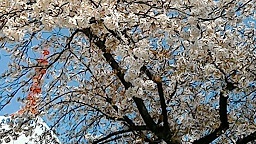 f0395164_00130223.jpg