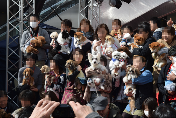 b0242873_23474680.png
