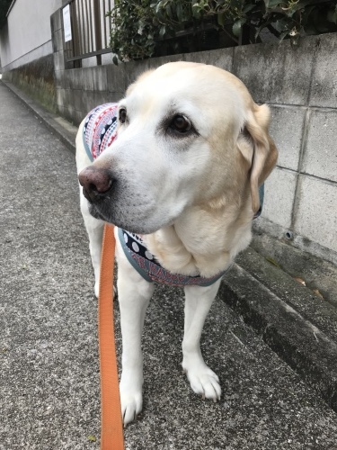 f0315081_16325831.jpeg