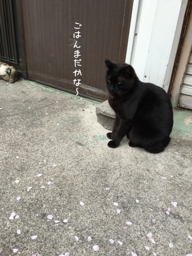 a0216583_11342580.png