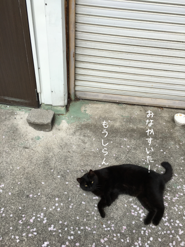 a0216583_11345078.png