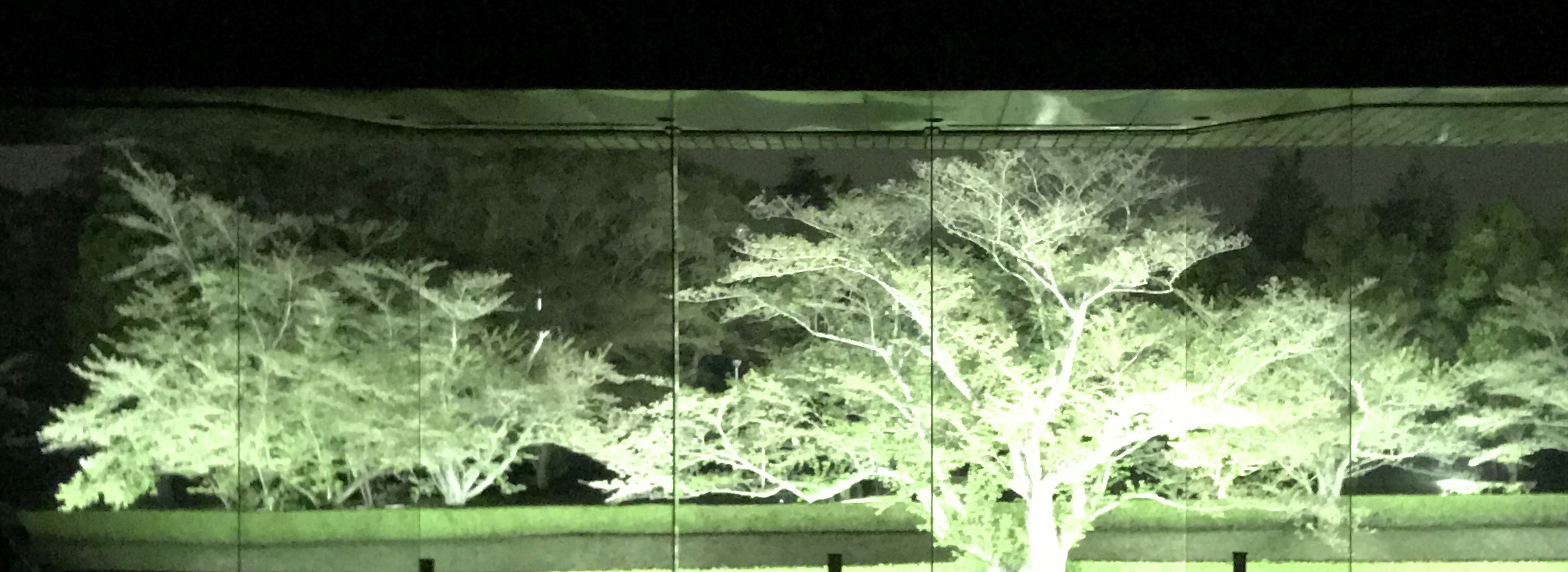 a0027290_21285227.jpeg