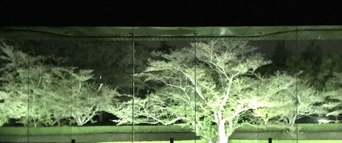 a0027290_21290477.jpeg