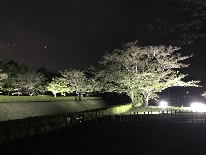 a0027290_21292734.jpeg
