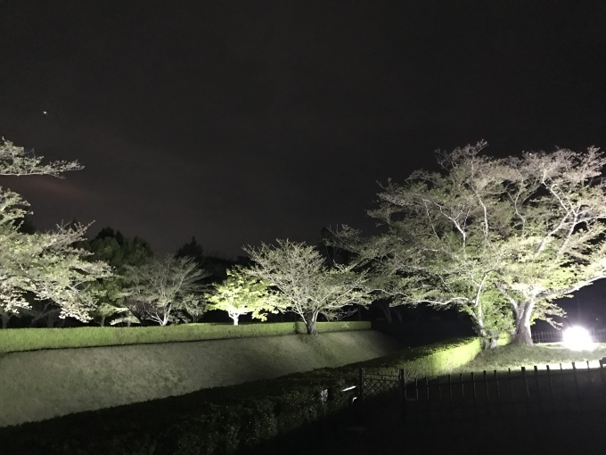 a0027290_21295034.jpeg