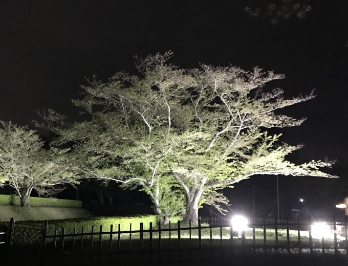 a0027290_21302467.jpeg