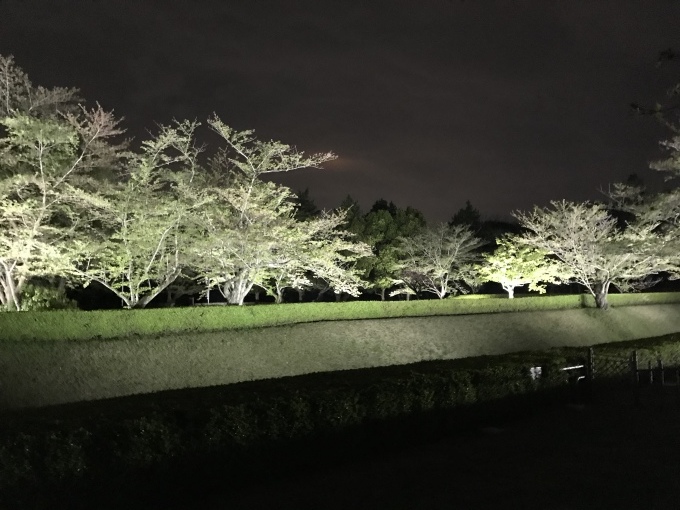 a0027290_21304925.jpeg
