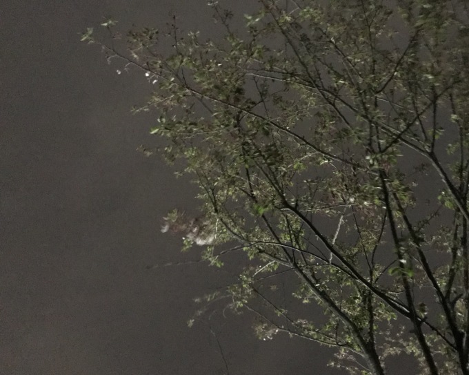 a0027290_21323353.jpeg