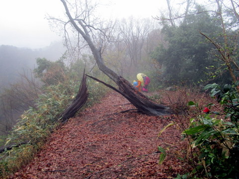 雨歩き_a0104890_21314166.jpg