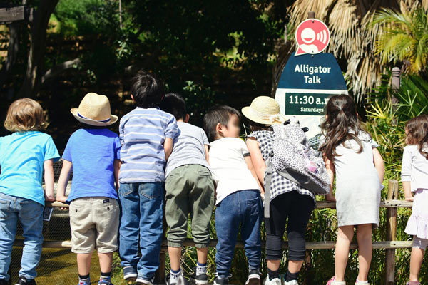 field trip at LA Zoo*_d0159690_04413511.jpg