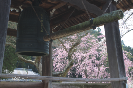 中山道１１回目　②十三峠越え_b0223592_14394561.png