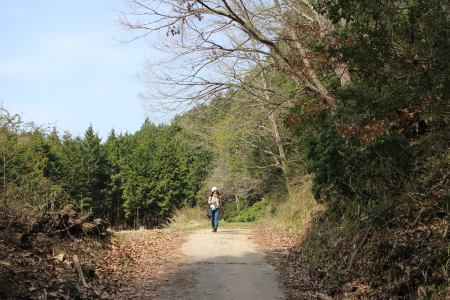 中山道１１回目　②十三峠越え_b0223592_14472053.png