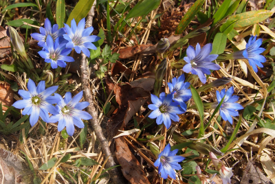 b0223592_15250680.png