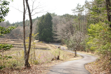 b0223592_15505921.png
