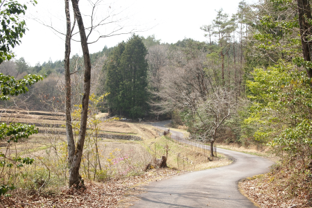 中山道１１回目　②十三峠越え_b0223592_15505921.png