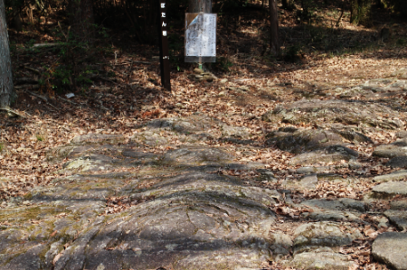 b0223592_16351147.png
