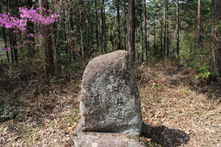 b0223592_16502069.png