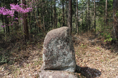 中山道１１回目　②十三峠越え_b0223592_16502069.png