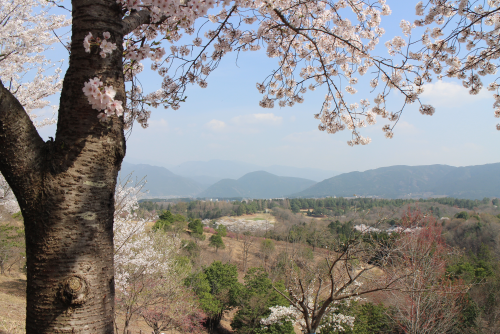 中山道１１回目　②十三峠越え_b0223592_17153797.png