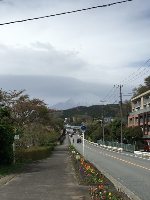 富士山 富士五湖 桜ツーリング ジェベルでツーリングとキャンプ