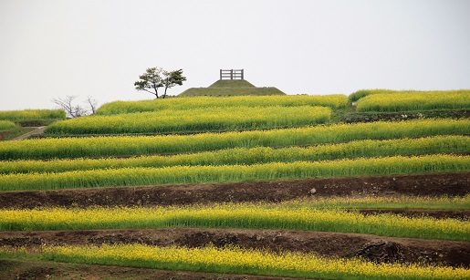 ガイドブログ_a0333195_15515701.jpg