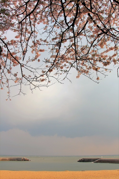 ガイドブログ_a0333195_16332417.jpg