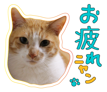 ガイドブログ_a0333195_16422234.png