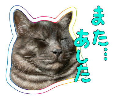 ガイドブログ_a0333195_16442141.png