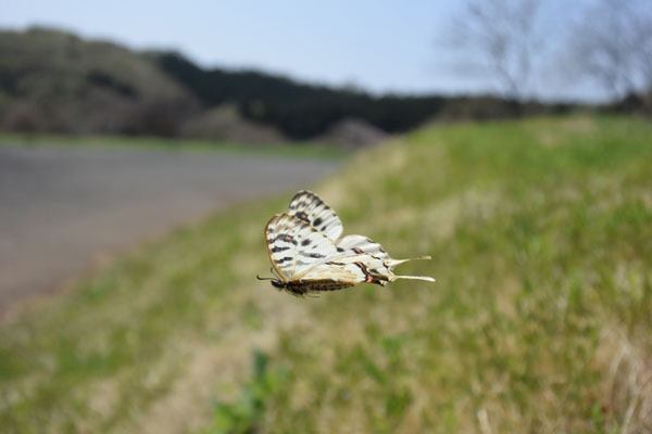 c0049095_18401739.jpg