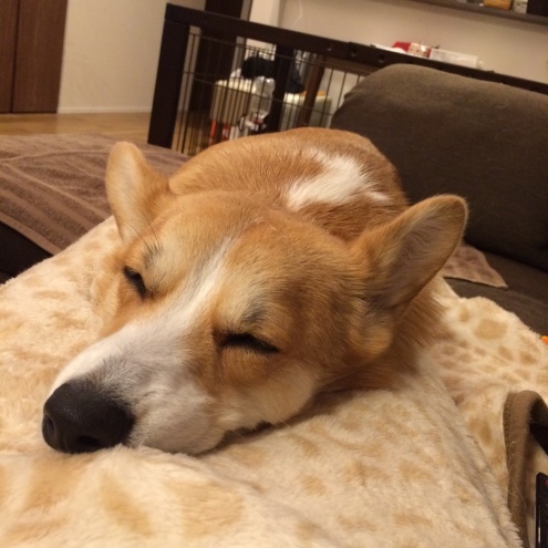 e0123299_01191829.jpeg