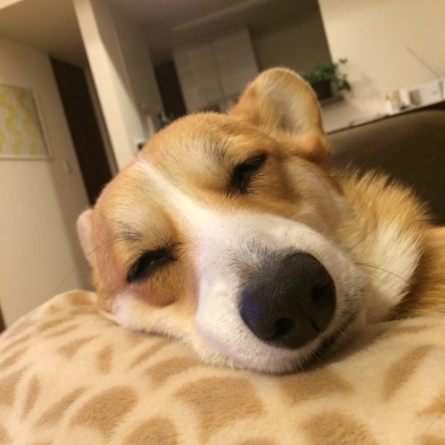 e0123299_01195447.jpeg