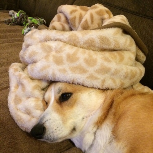 e0123299_01202435.jpeg
