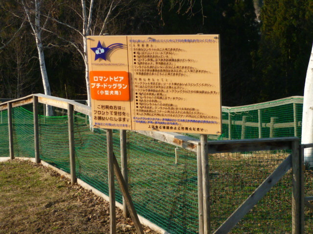 e0326699_17232455.jpg