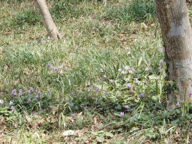 e0025300_20292299.jpg