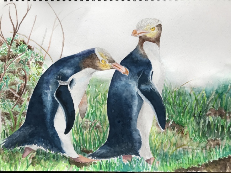 中学3年生のペンギンの絵 東西線浦安駅徒歩2分の絵画教室 Atelier創 アトリエ ソウ のブログ 中学3年生のペンギンの絵 東西線浦安駅徒歩2分の絵画教室 Atelier創 アトリエ ソウ のブログ