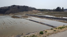 c0133503_18570222.jpg