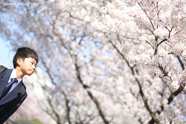 いよいよ明日は入学式…前に、桜と前撮り♪_d0157704_18072318.jpg