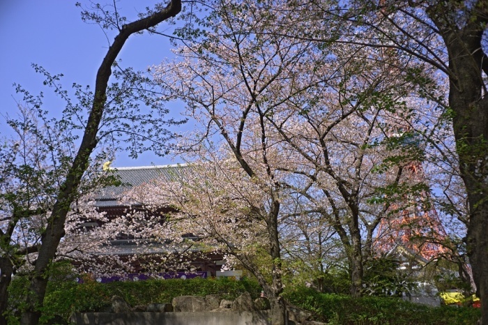 d0376905_14310423.jpg