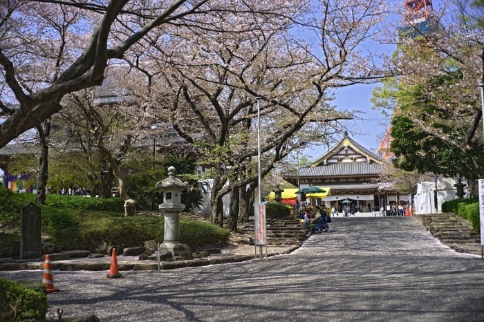 d0376905_14325743.jpg