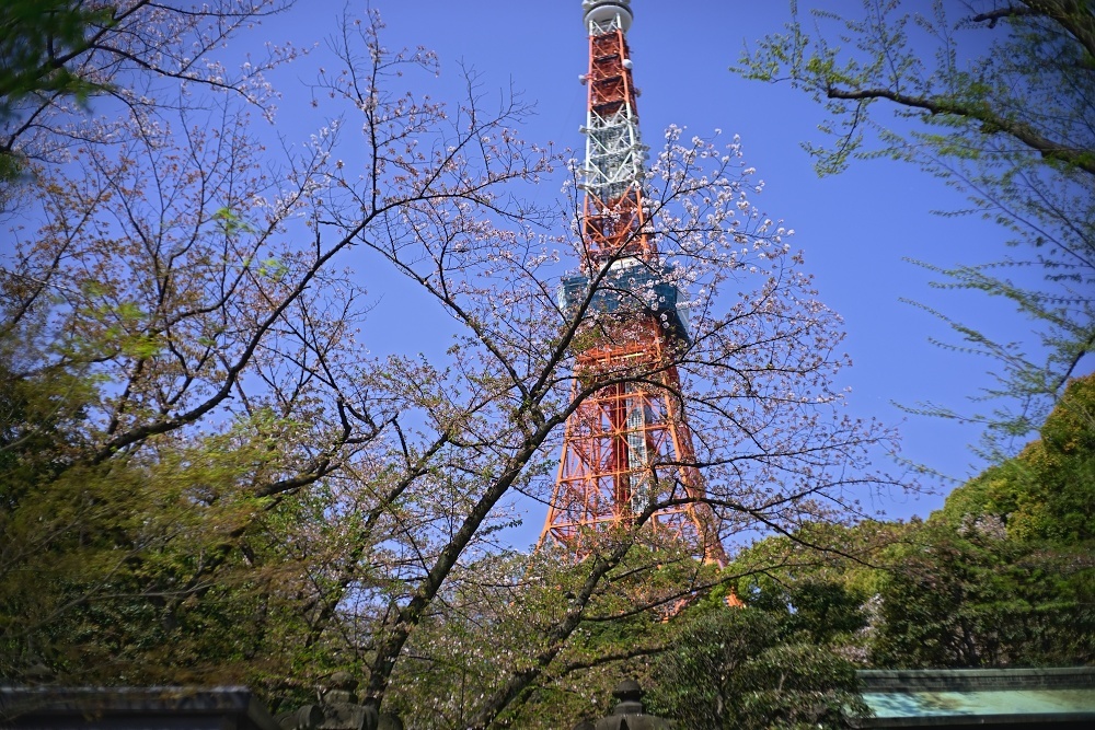 d0376905_14333058.jpg
