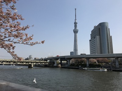 d0180506_13591166.jpg