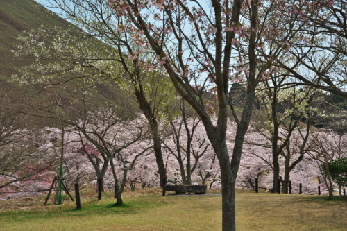 a0263109_10010694.jpg